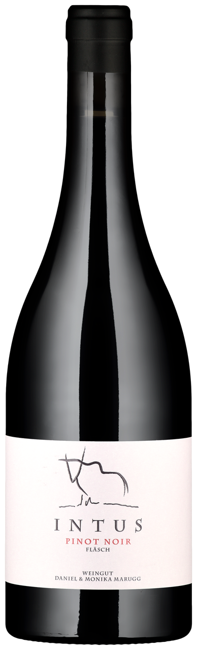 Pinot Noir Clos Martha AOC Baselland 2023 - Möhr-Niggli – online