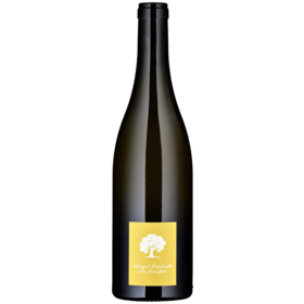 Jeninser Chardonnay AOC Graubünden