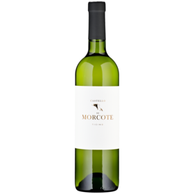 Castello di Morcote Bianco DOC Ticino