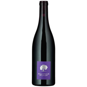 Pinot Noir «Bündte» AOC Graubünden
